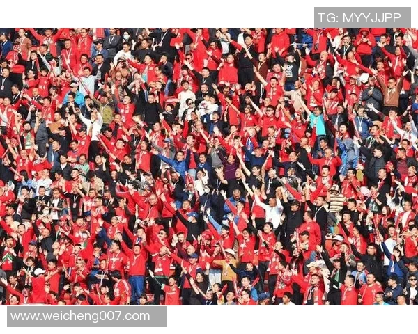 足球迷与球星的情感纽带如何影响球场表现与粉丝文化的发展